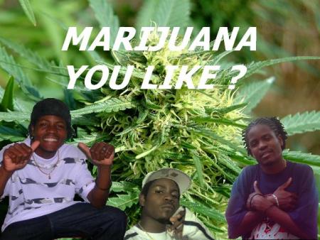 DID JAH